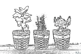 thyme Coloring Pages To Print